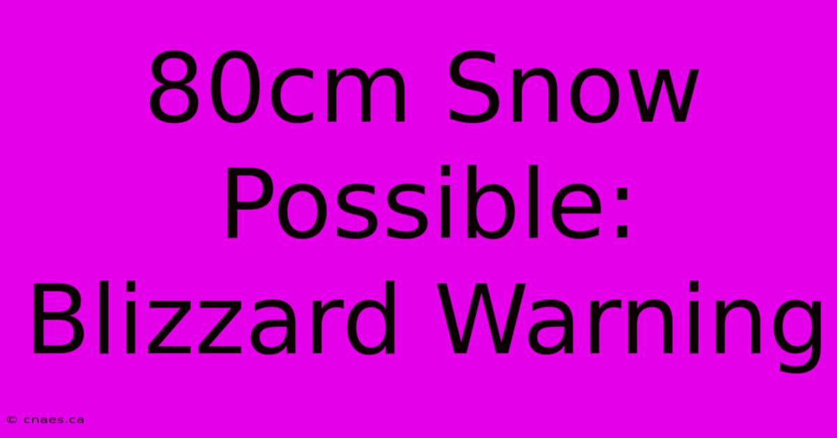 80cm Snow Possible: Blizzard Warning