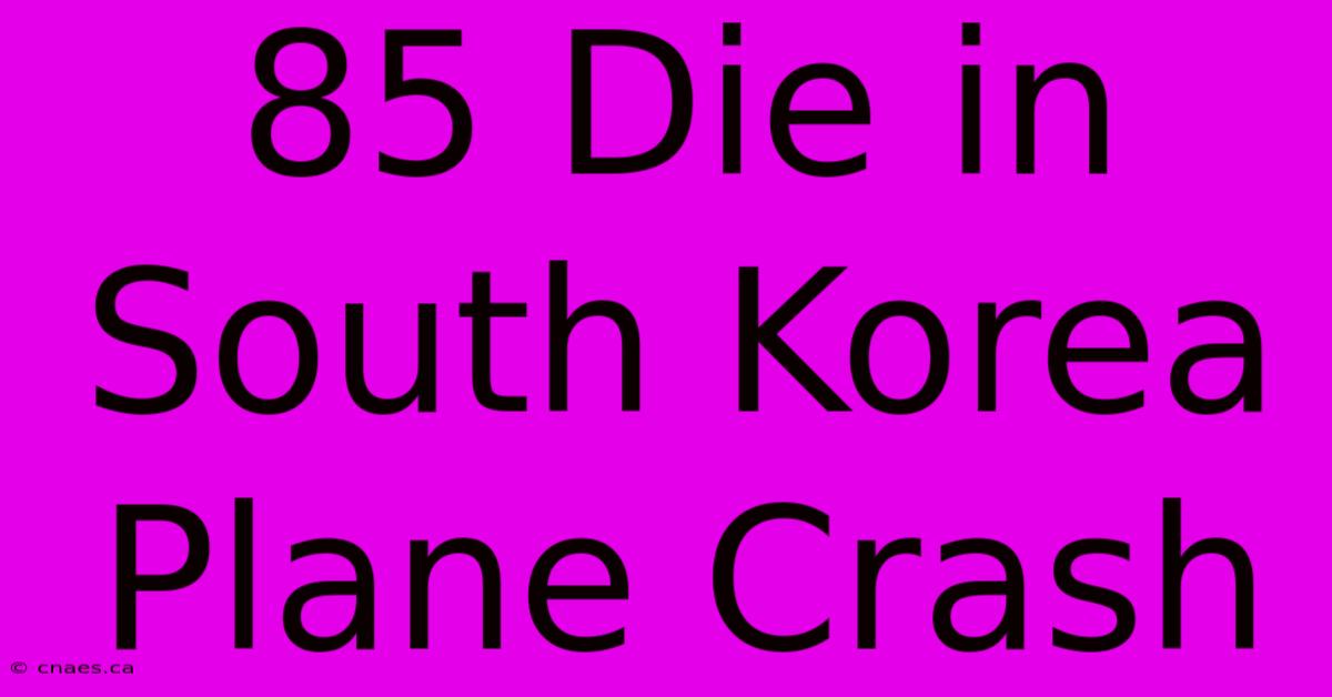 85 Die In South Korea Plane Crash