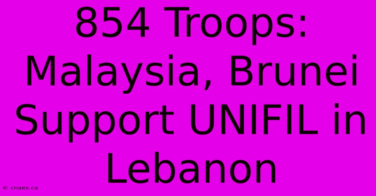 854 Troops: Malaysia, Brunei Support UNIFIL In Lebanon