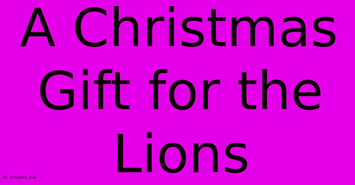 A Christmas Gift For The Lions