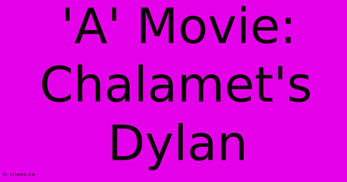 'A' Movie: Chalamet's Dylan