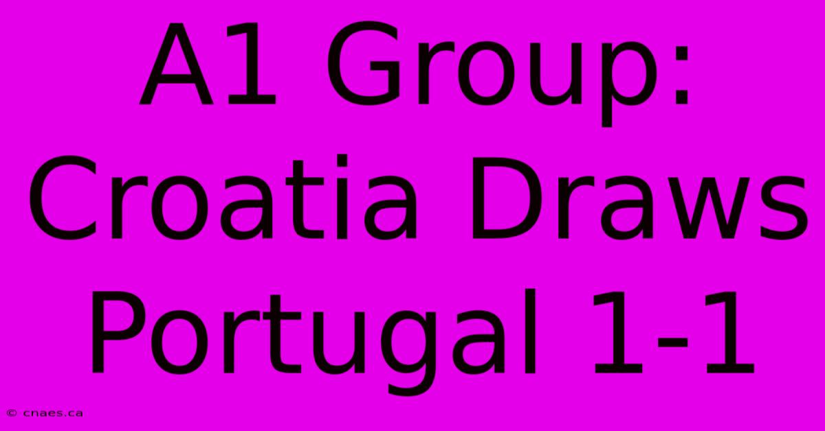 A1 Group: Croatia Draws Portugal 1-1