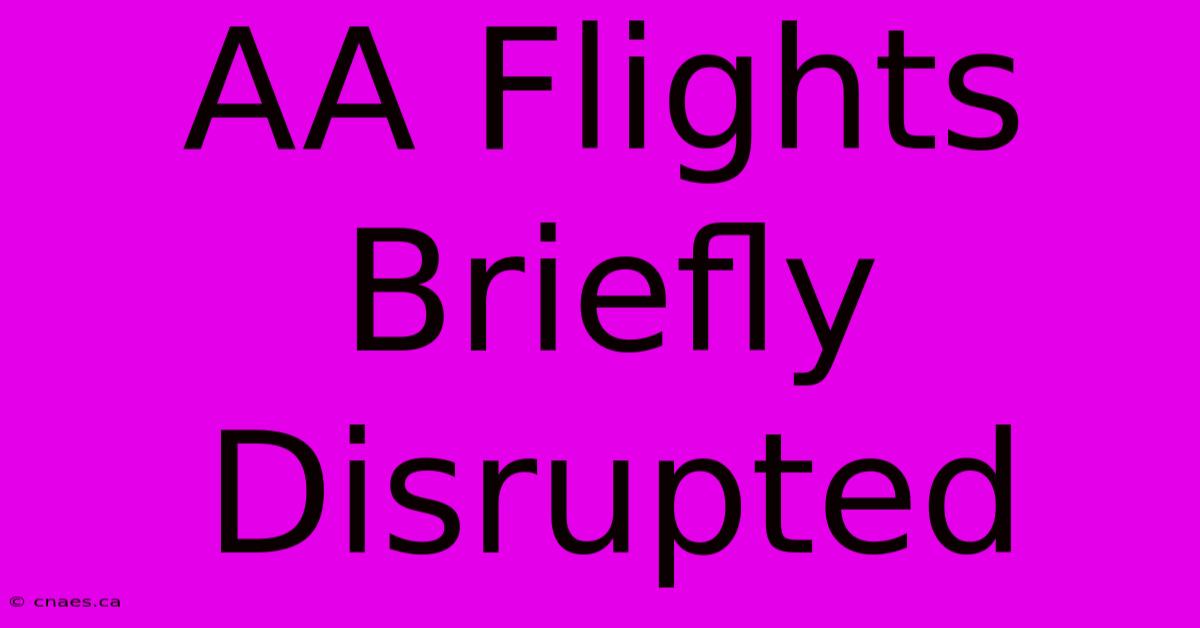 AA Flights Briefly Disrupted