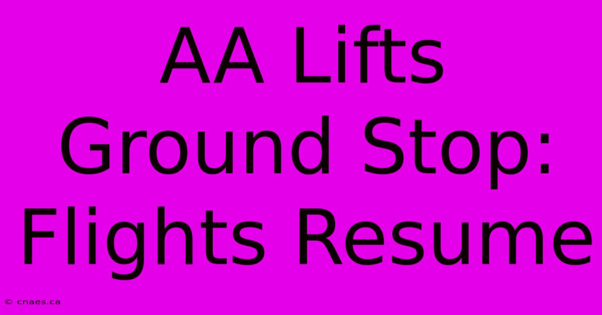 AA Lifts Ground Stop: Flights Resume