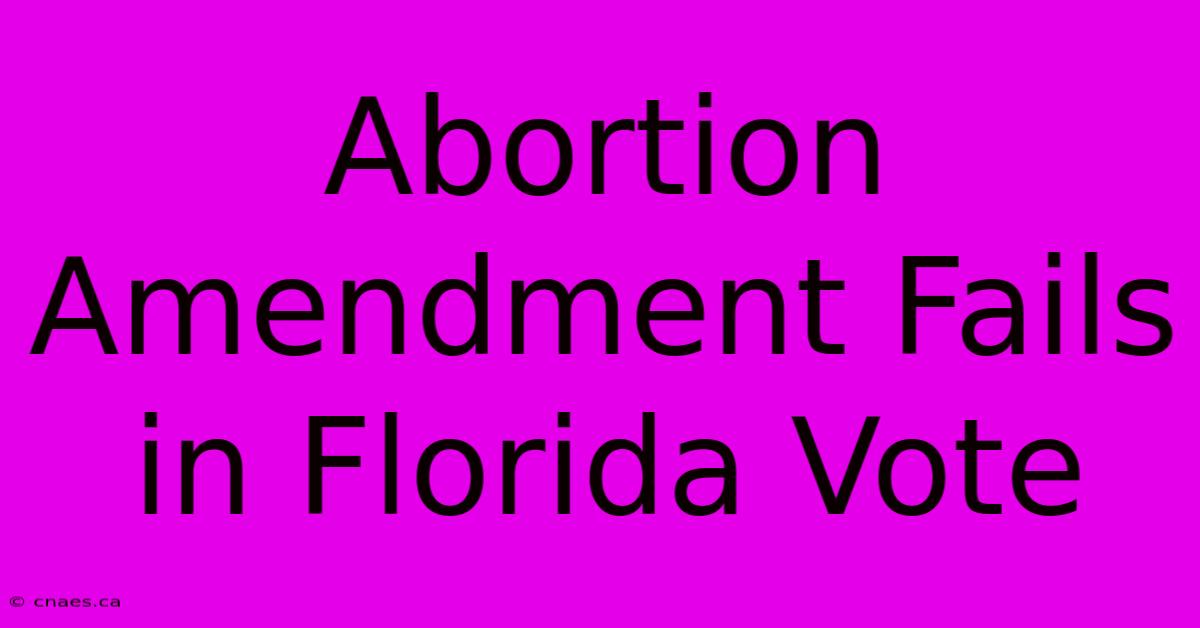 Abortion Amendment Fails In Florida Vote