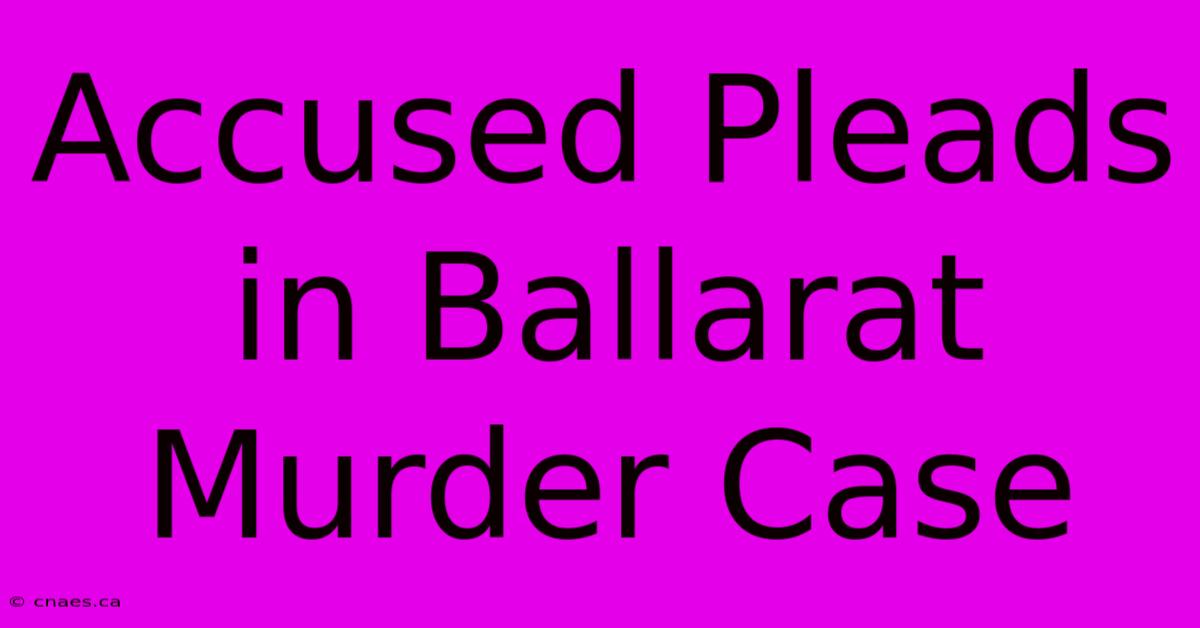 Accused Pleads In Ballarat Murder Case