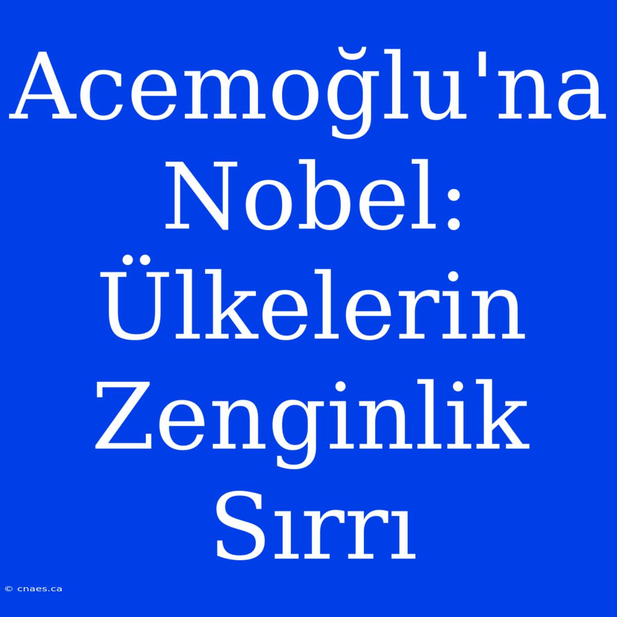 Acemoğlu'na Nobel: Ülkelerin Zenginlik Sırrı