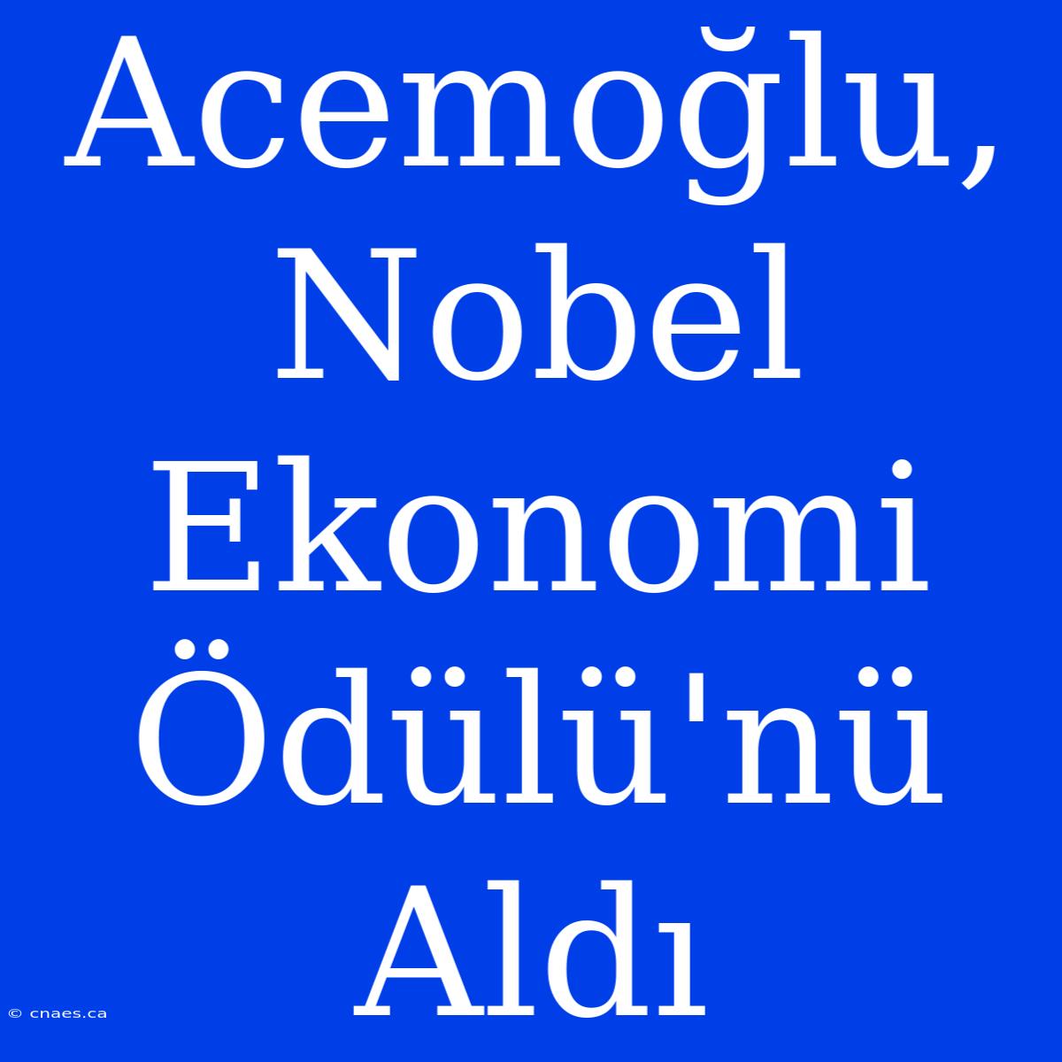 Acemoğlu, Nobel Ekonomi Ödülü'nü Aldı