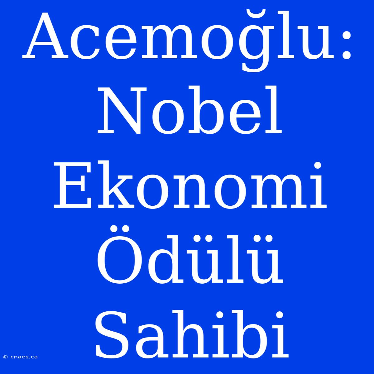 Acemoğlu: Nobel Ekonomi Ödülü Sahibi