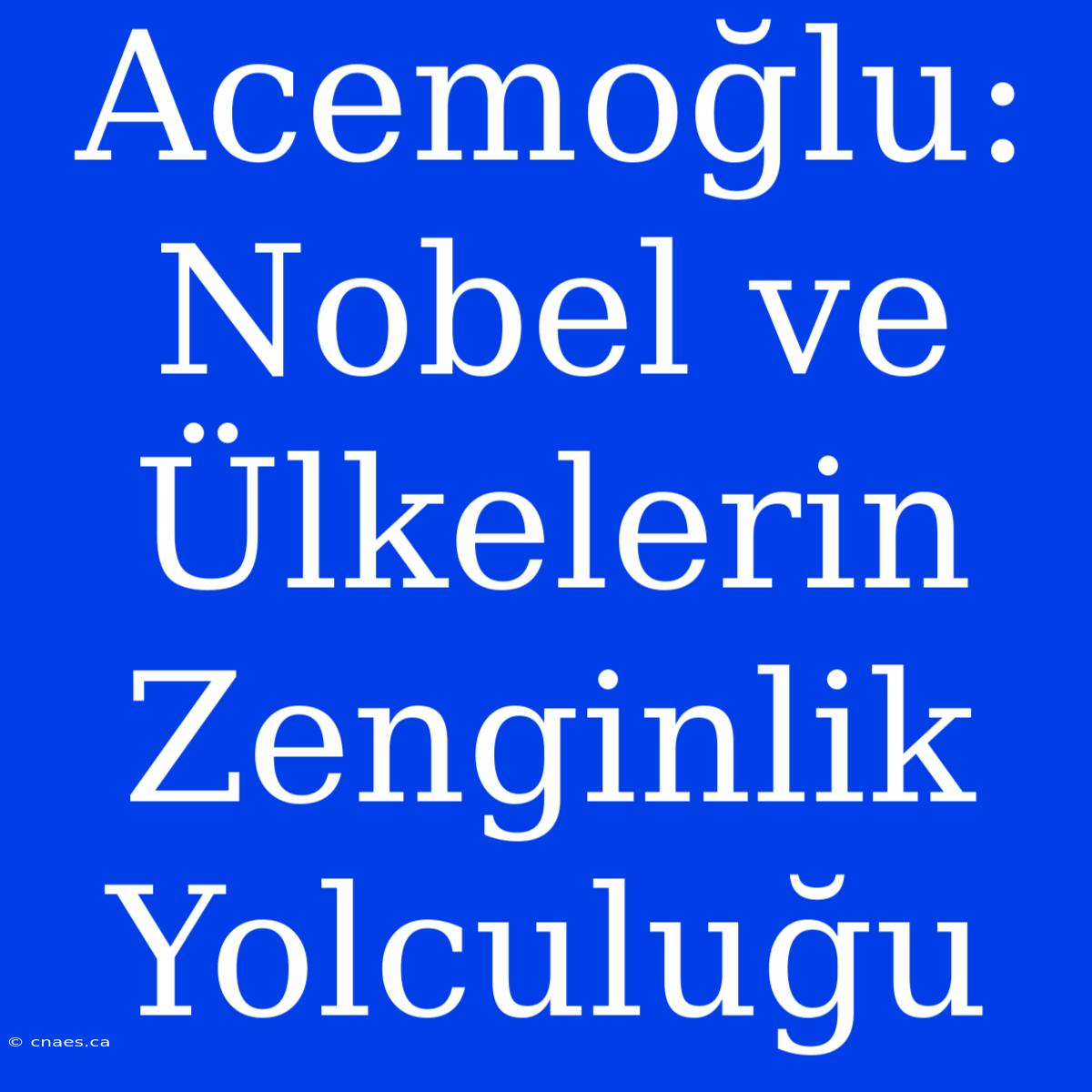 Acemoğlu: Nobel Ve Ülkelerin Zenginlik Yolculuğu