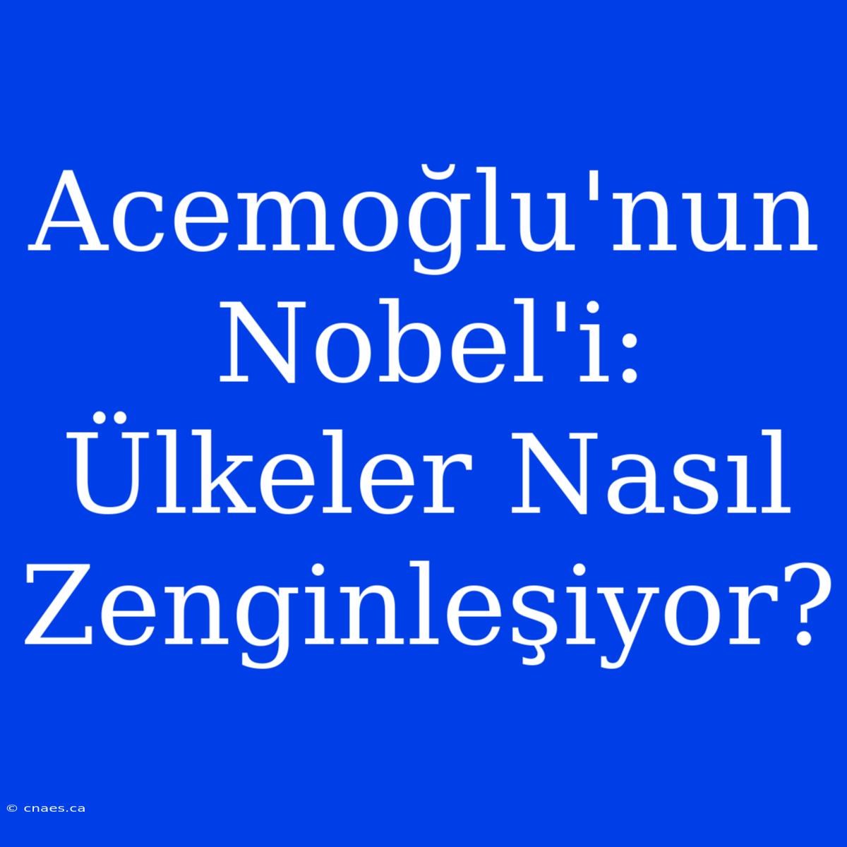 Acemoğlu'nun Nobel'i: Ülkeler Nasıl Zenginleşiyor?