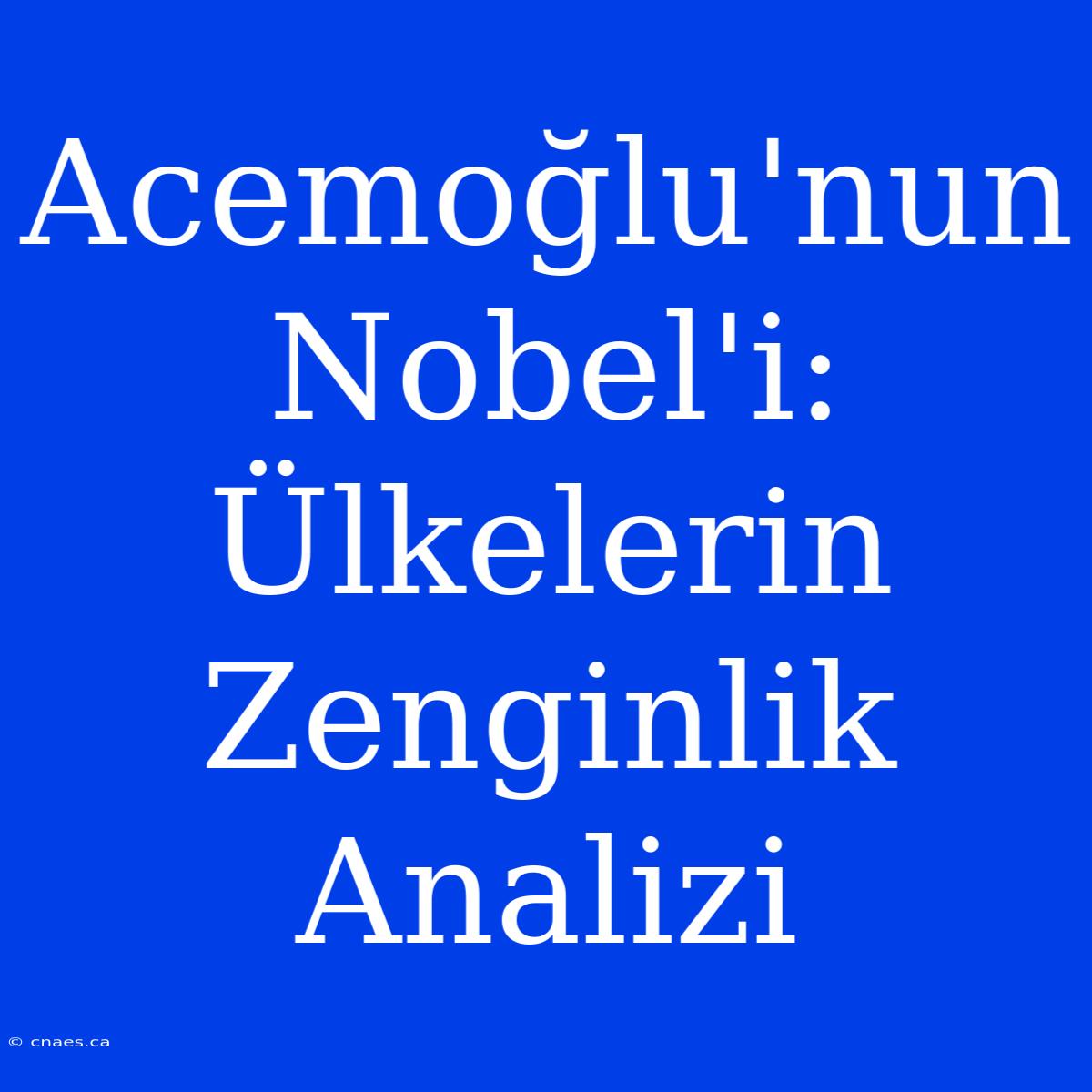 Acemoğlu'nun Nobel'i: Ülkelerin Zenginlik Analizi