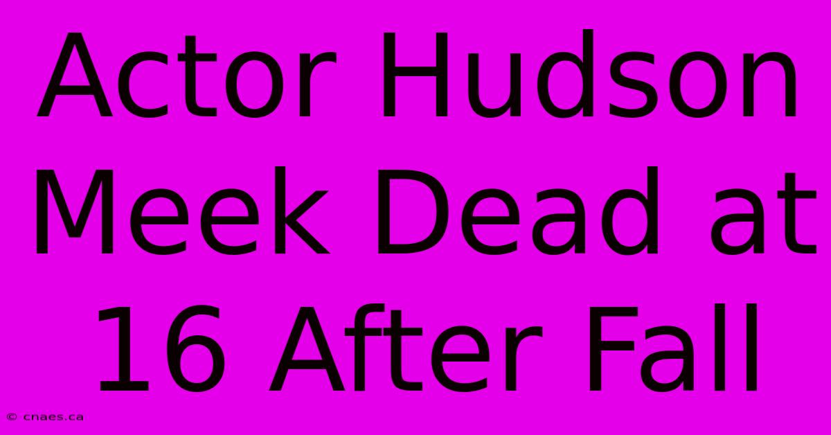 Actor Hudson Meek Dead At 16 After Fall