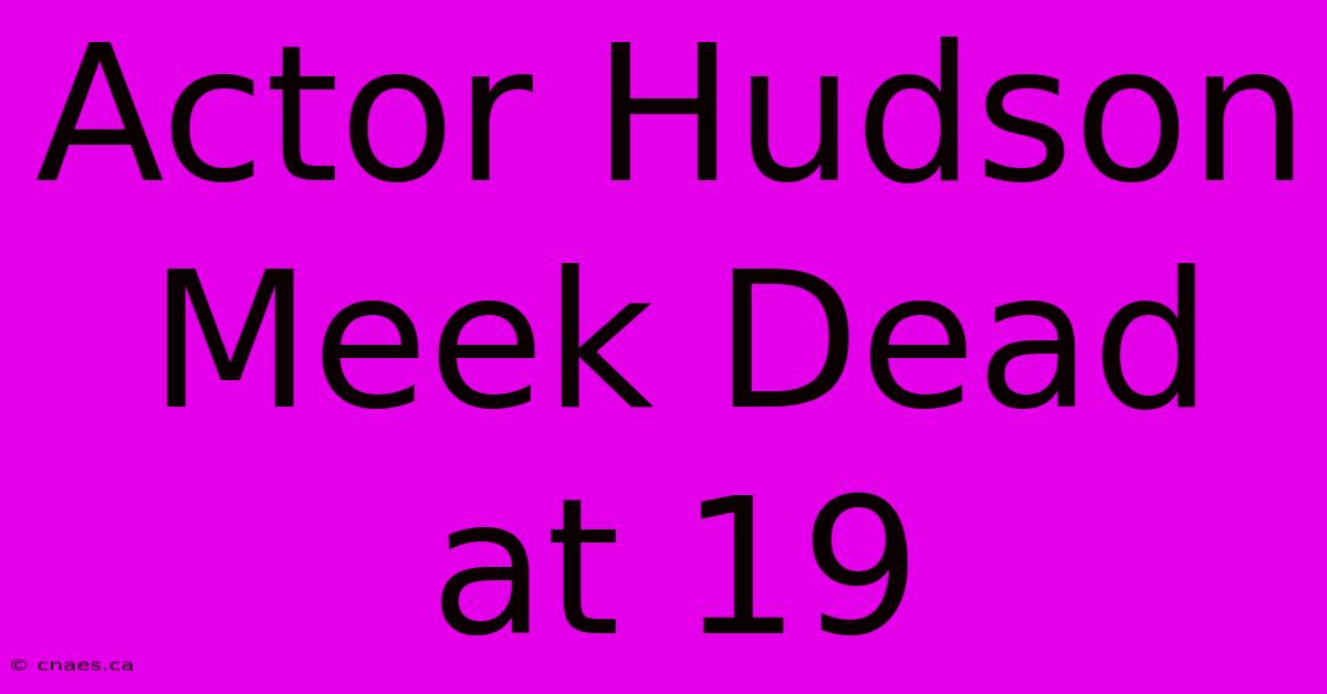 Actor Hudson Meek Dead At 19