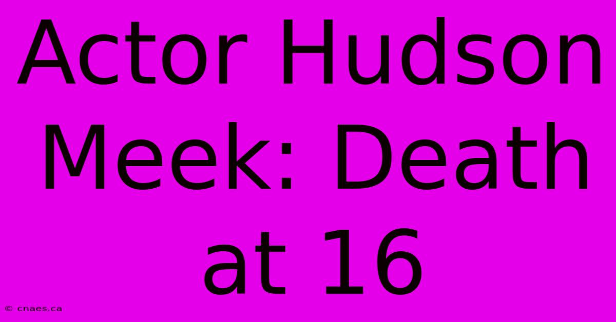 Actor Hudson Meek: Death At 16