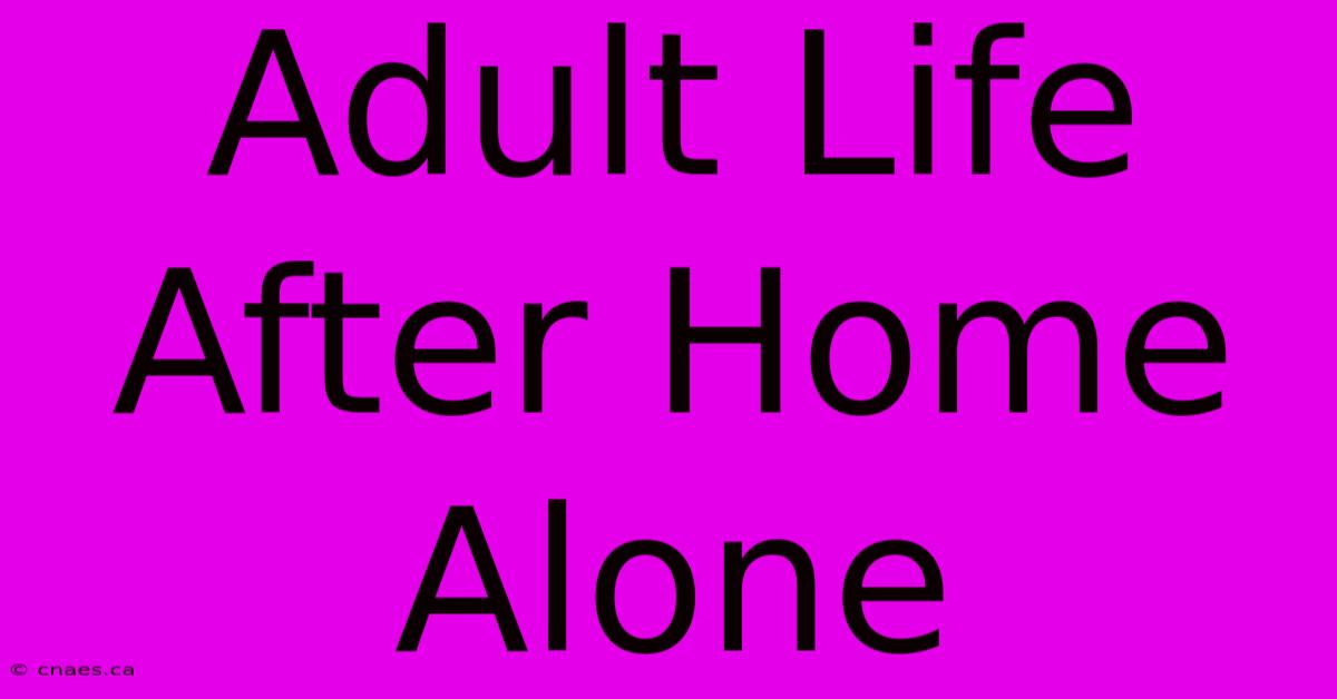 Adult Life After Home Alone