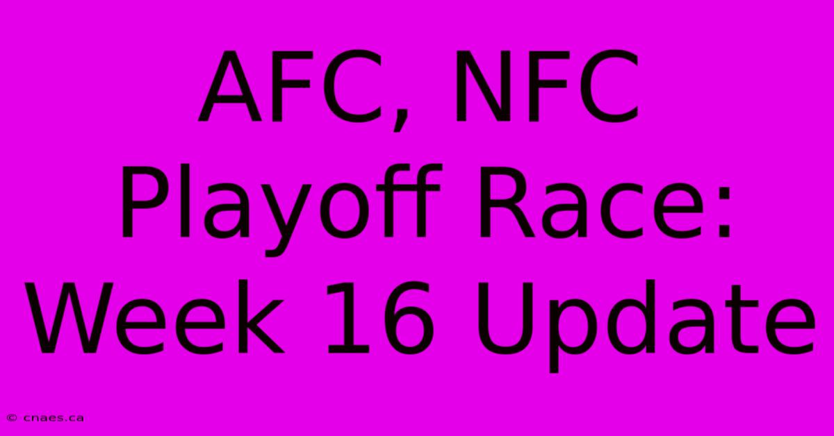 AFC, NFC Playoff Race: Week 16 Update