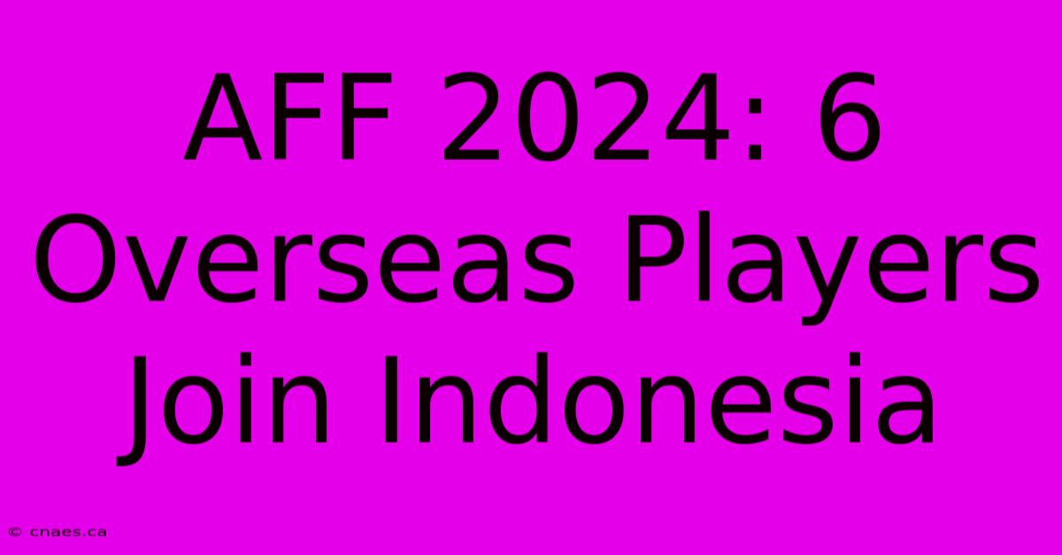 AFF 2024: 6 Overseas Players Join Indonesia