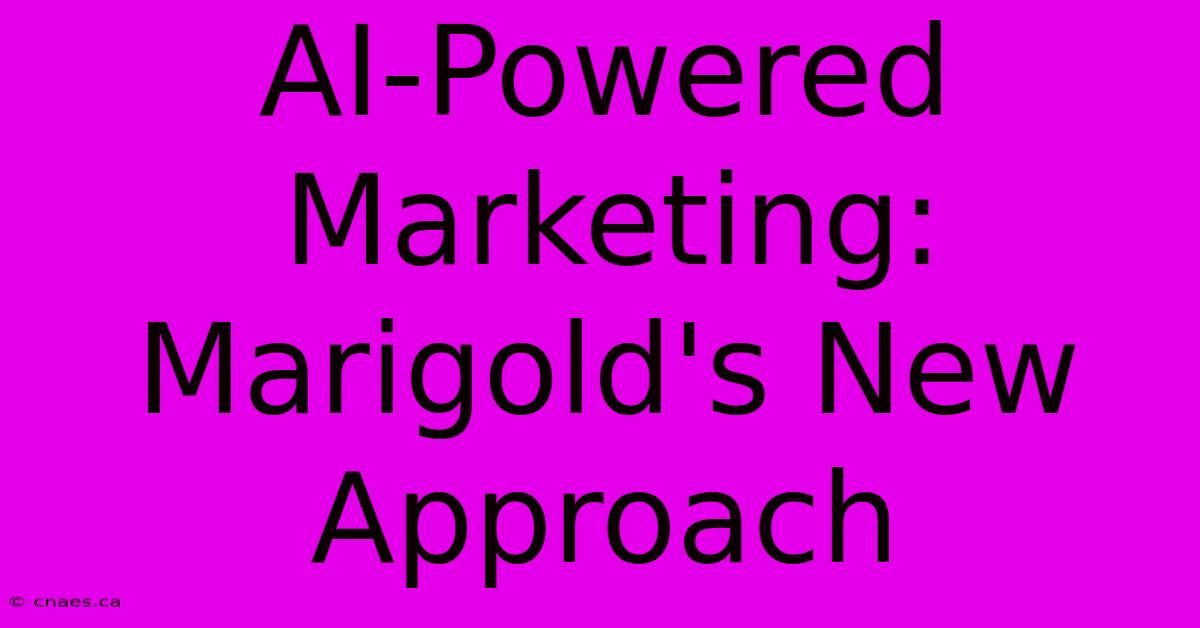 AI-Powered Marketing: Marigold's New Approach