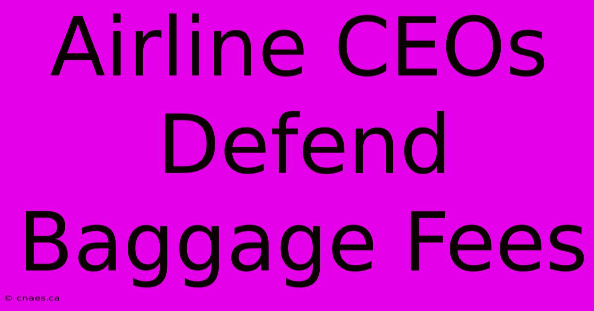 Airline CEOs Defend Baggage Fees