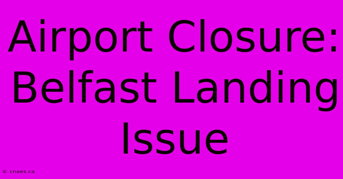 Airport Closure: Belfast Landing Issue