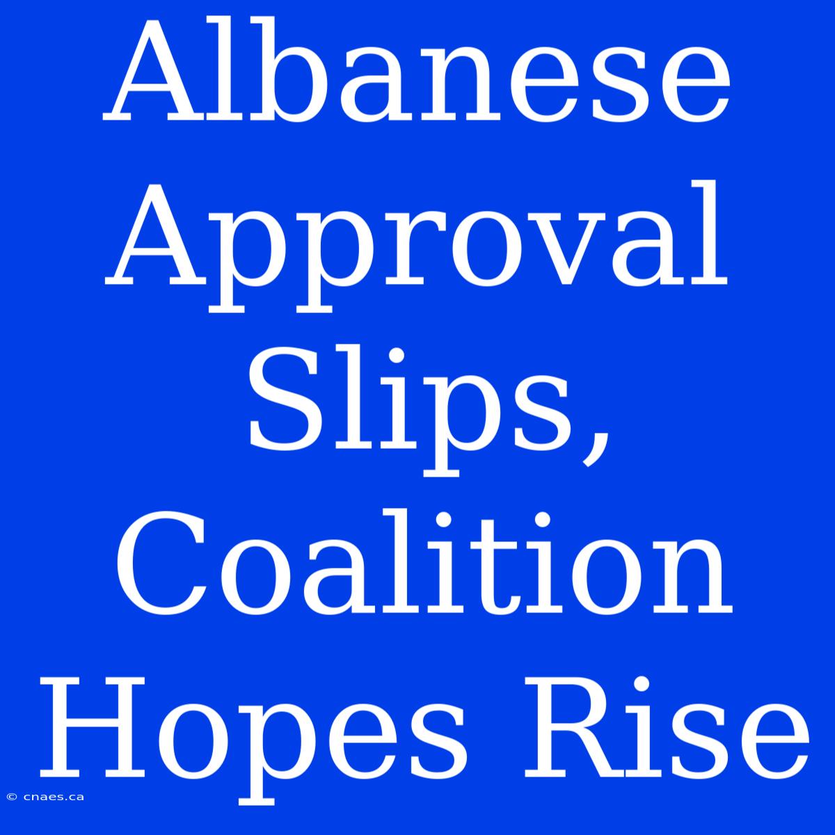 Albanese Approval Slips, Coalition Hopes Rise