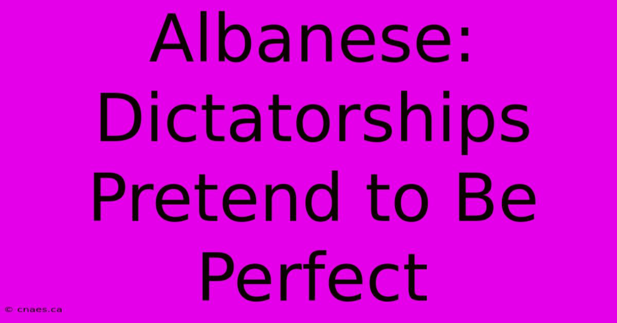 Albanese: Dictatorships Pretend To Be Perfect