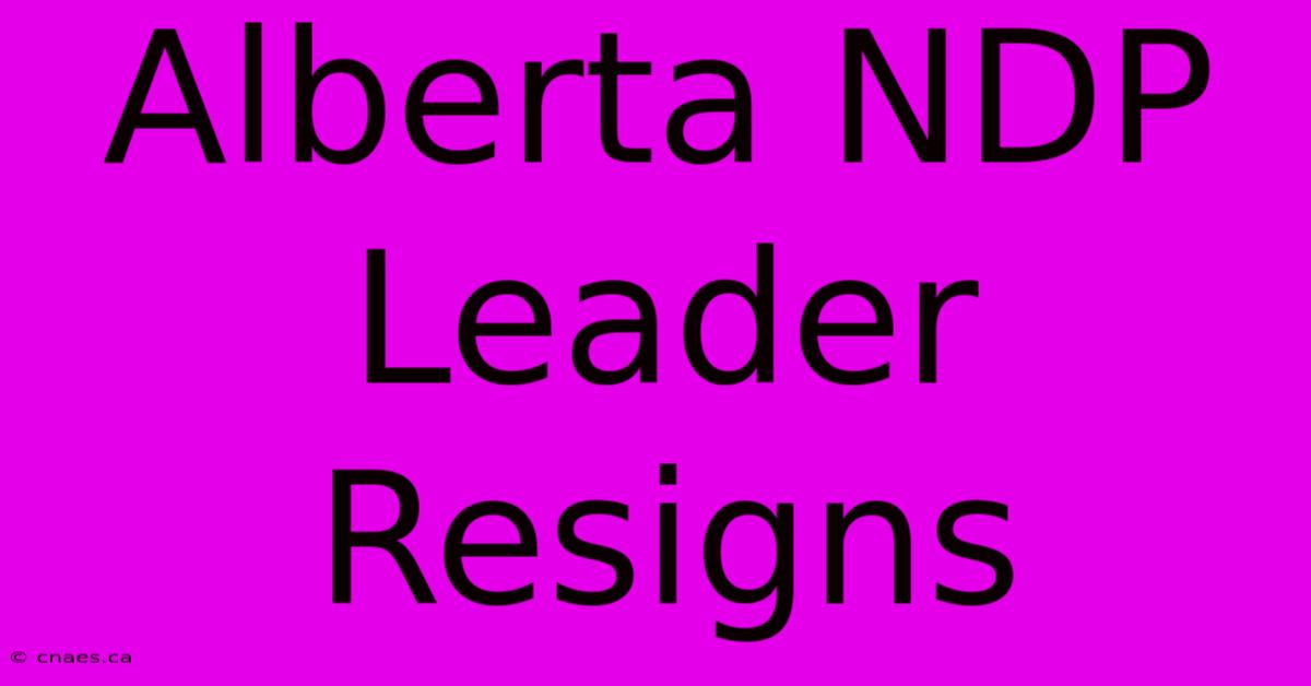 Alberta NDP Leader Resigns