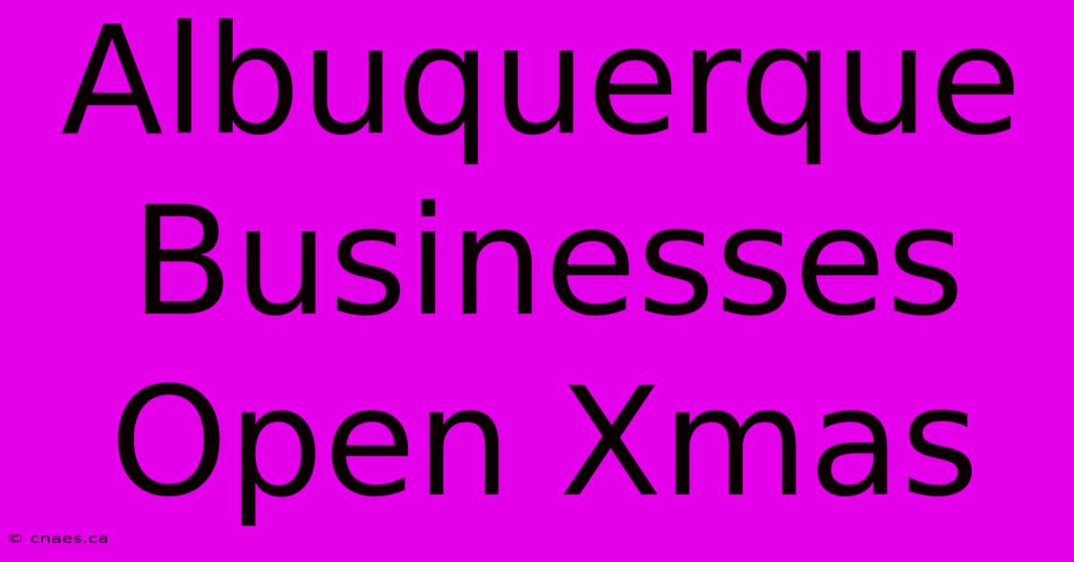 Albuquerque Businesses Open Xmas