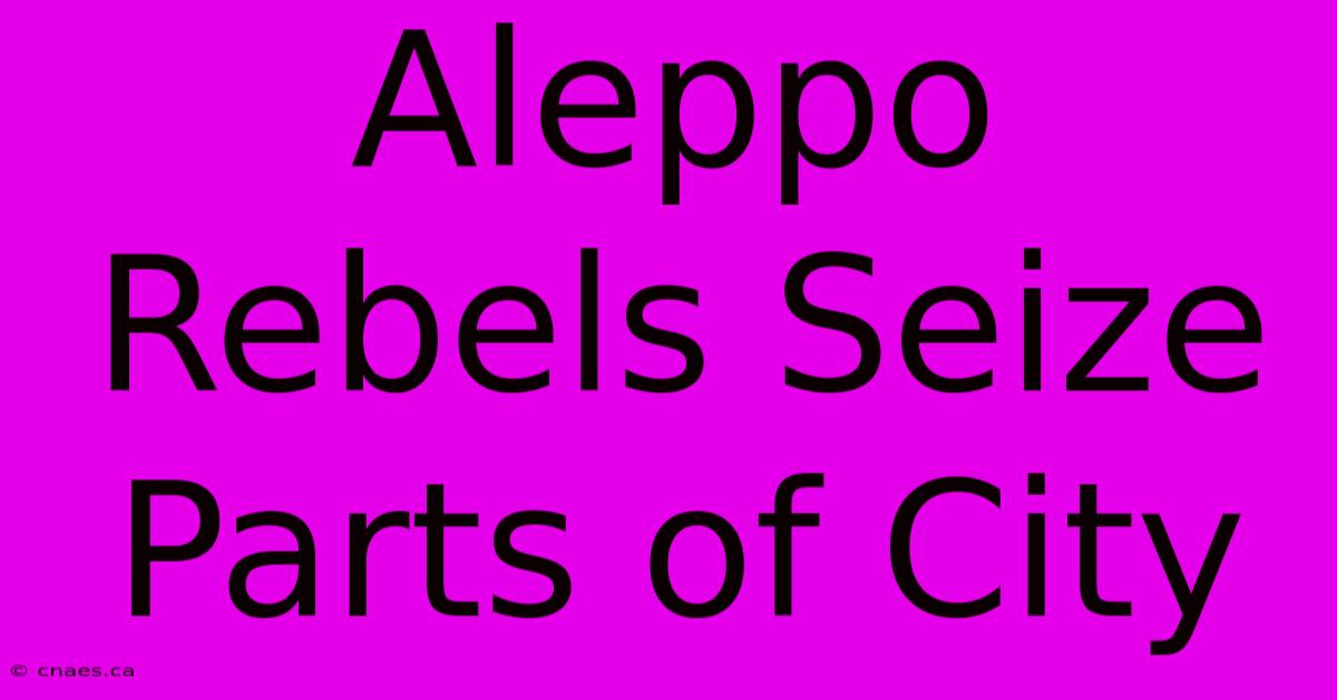 Aleppo Rebels Seize Parts Of City