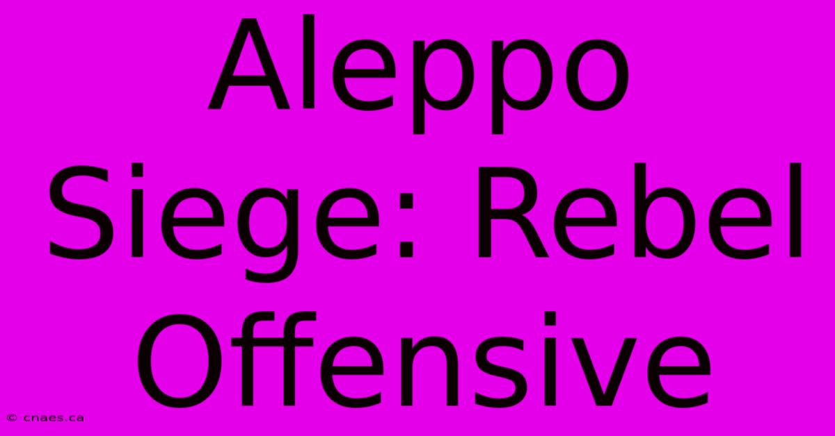 Aleppo Siege: Rebel Offensive