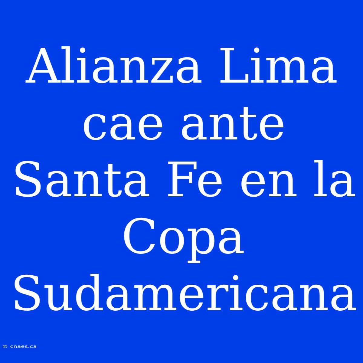 Alianza Lima Cae Ante Santa Fe En La Copa Sudamericana