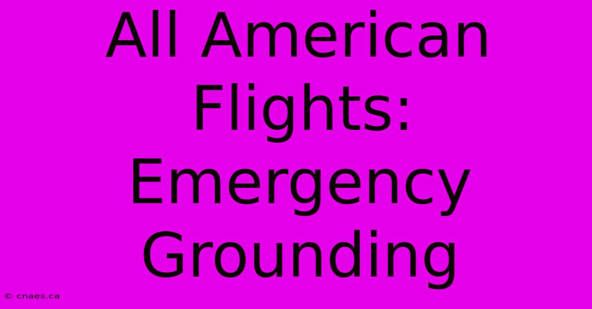 All American Flights: Emergency Grounding