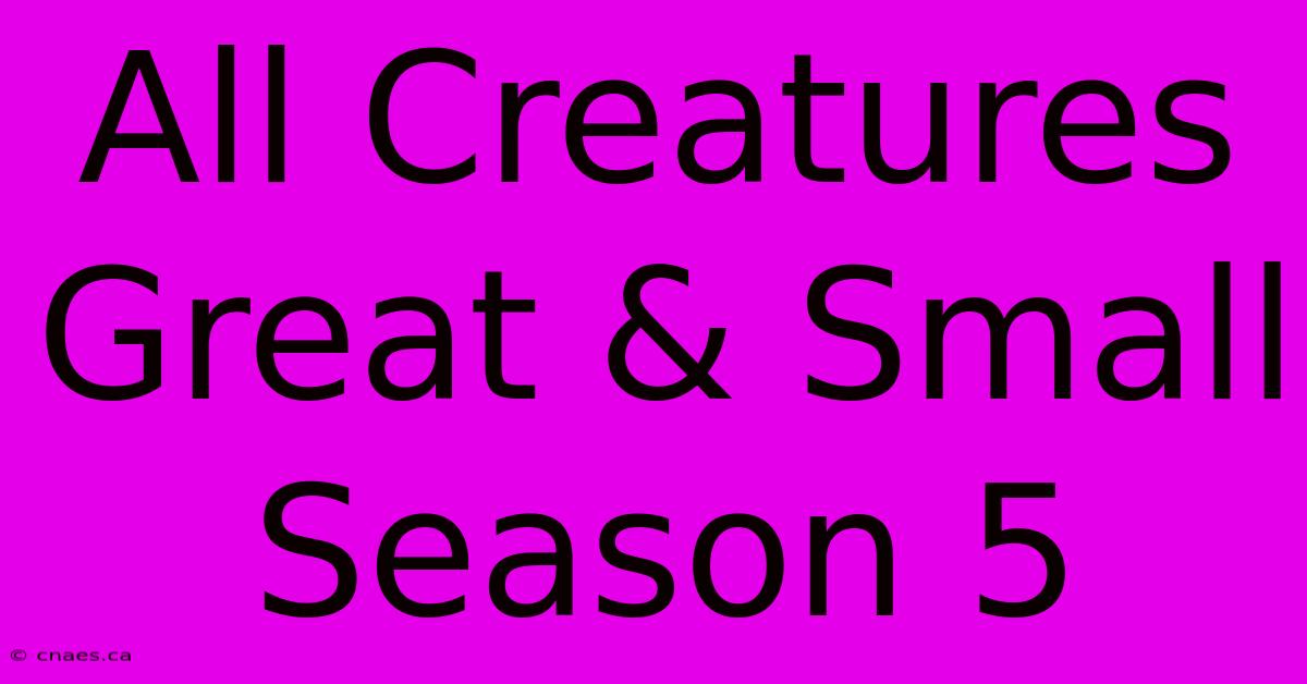 All Creatures Great & Small Season 5