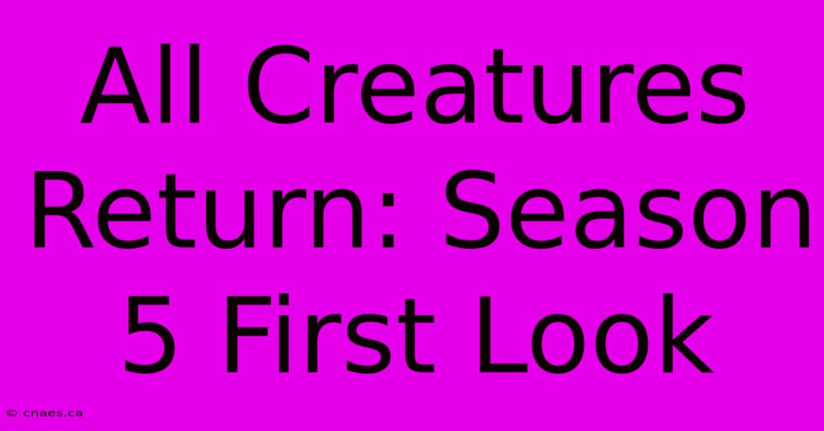 All Creatures Return: Season 5 First Look