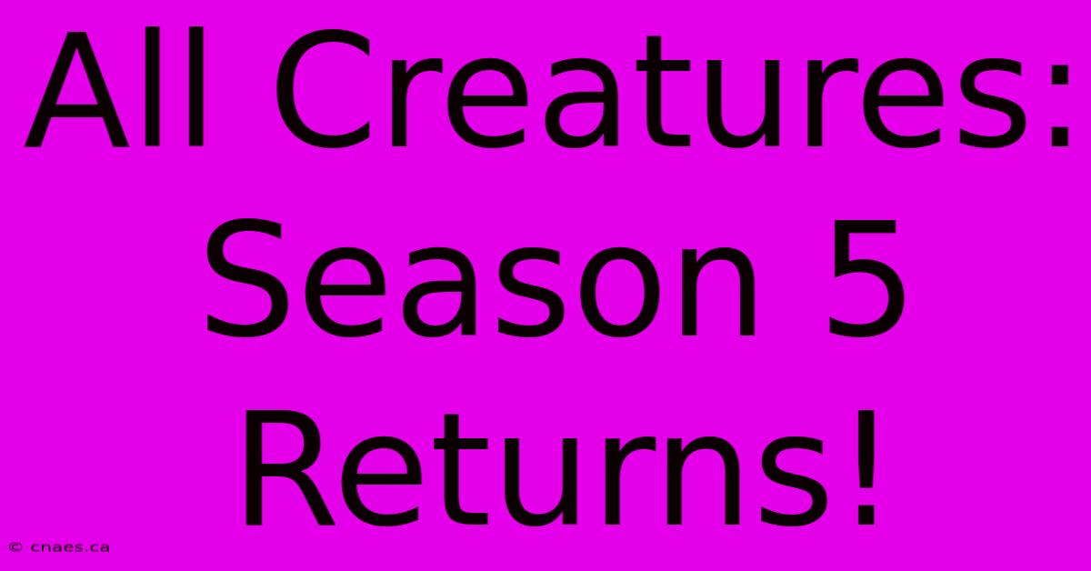 All Creatures: Season 5 Returns!