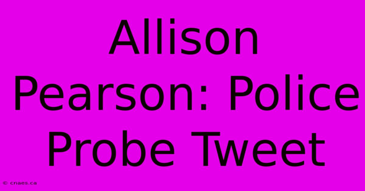 Allison Pearson: Police Probe Tweet