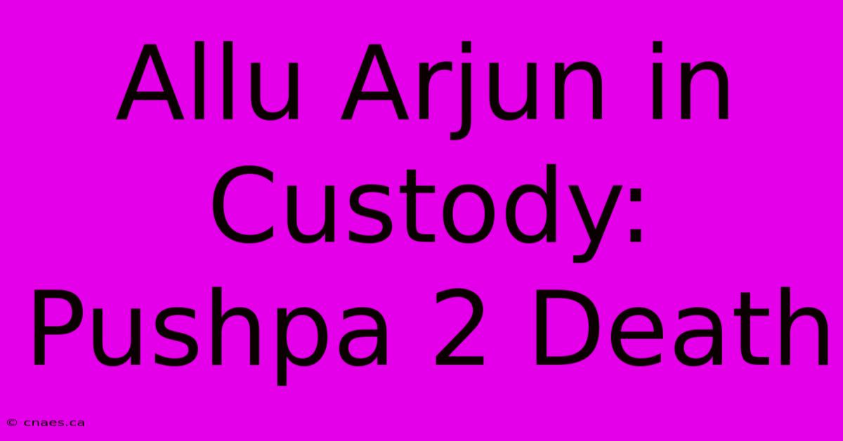 Allu Arjun In Custody: Pushpa 2 Death