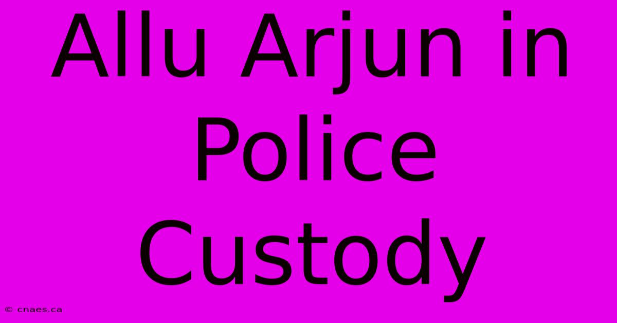 Allu Arjun In Police Custody