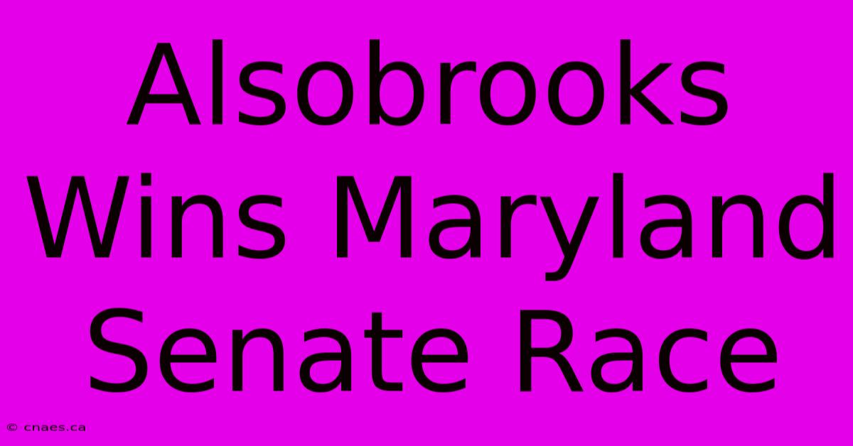 Alsobrooks Wins Maryland Senate Race