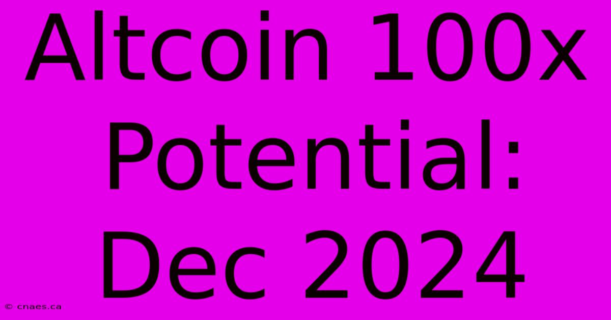 Altcoin 100x Potential: Dec 2024