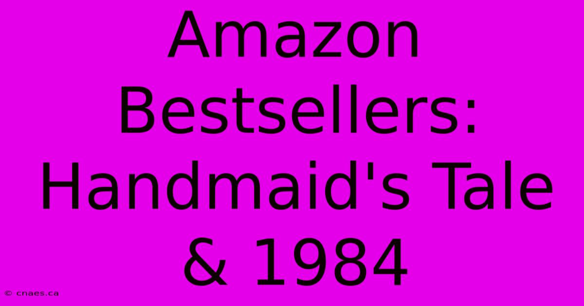 Amazon Bestsellers: Handmaid's Tale & 1984