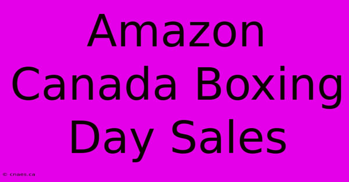 Amazon Canada Boxing Day Sales