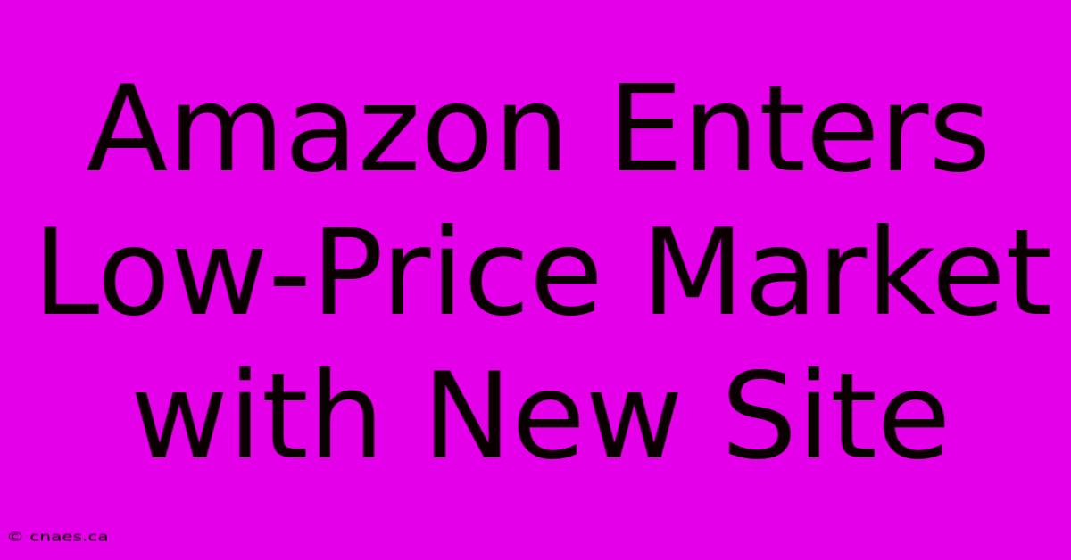 Amazon Enters Low-Price Market With New Site