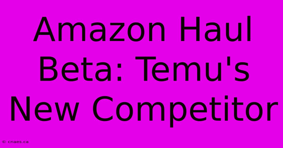 Amazon Haul Beta: Temu's New Competitor