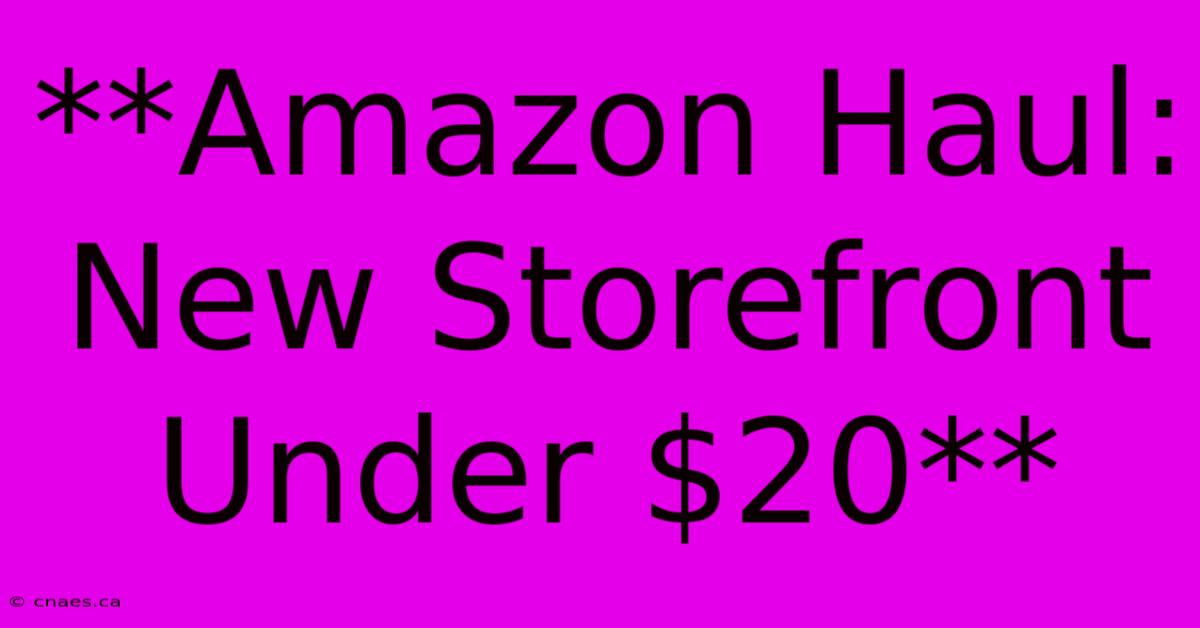 **Amazon Haul: New Storefront Under $20**