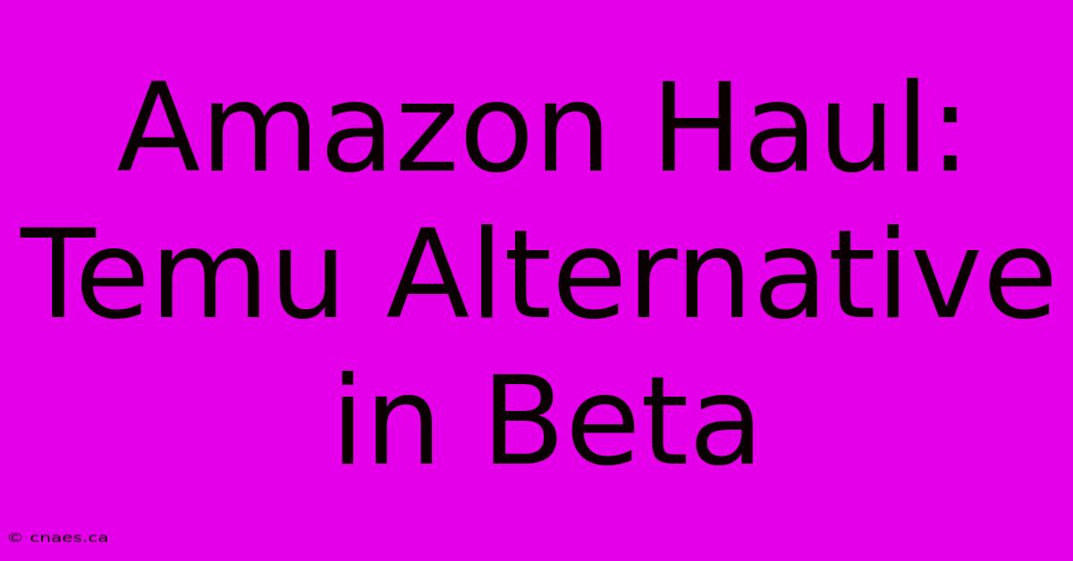 Amazon Haul: Temu Alternative In Beta