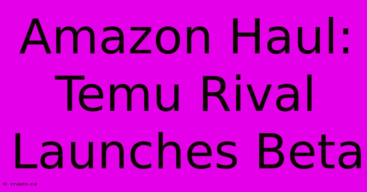 Amazon Haul: Temu Rival Launches Beta 