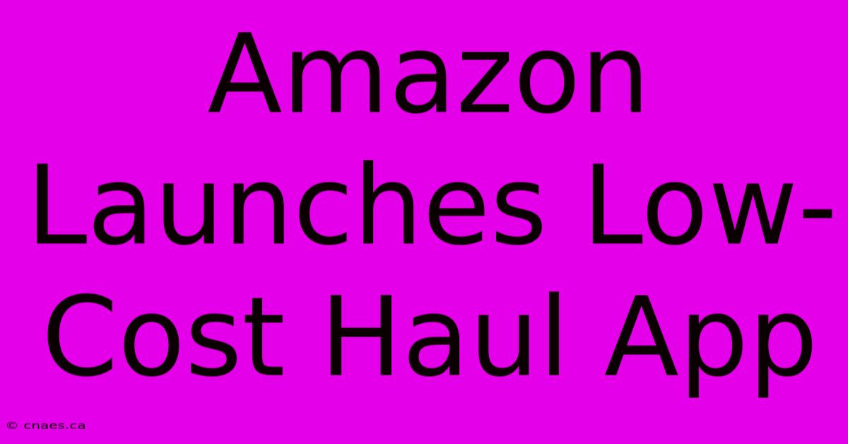 Amazon Launches Low-Cost Haul App