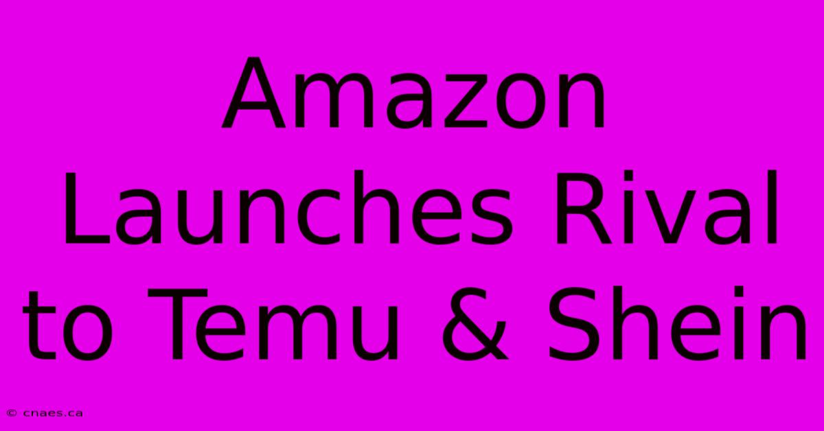 Amazon Launches Rival To Temu & Shein 